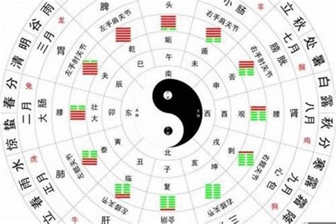 五行命理|生辰八字算命、五行喜用神查询（免费测算）